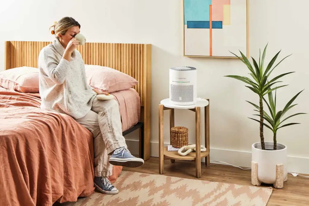 Best Air Purifiers for Allergy