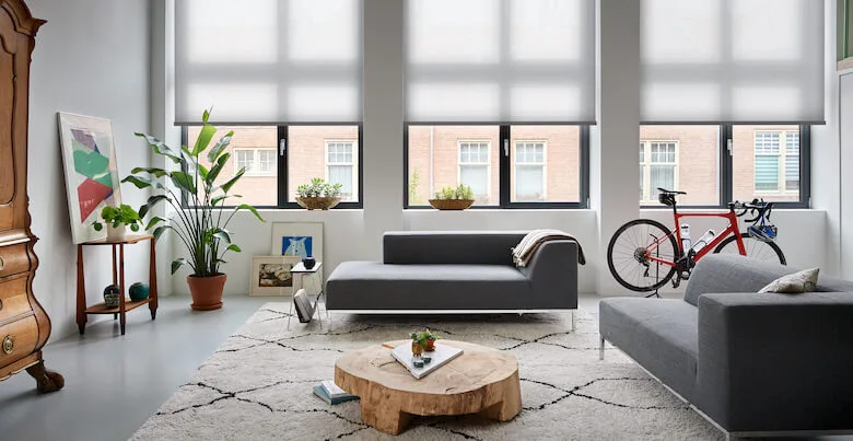 Smart Window Shades