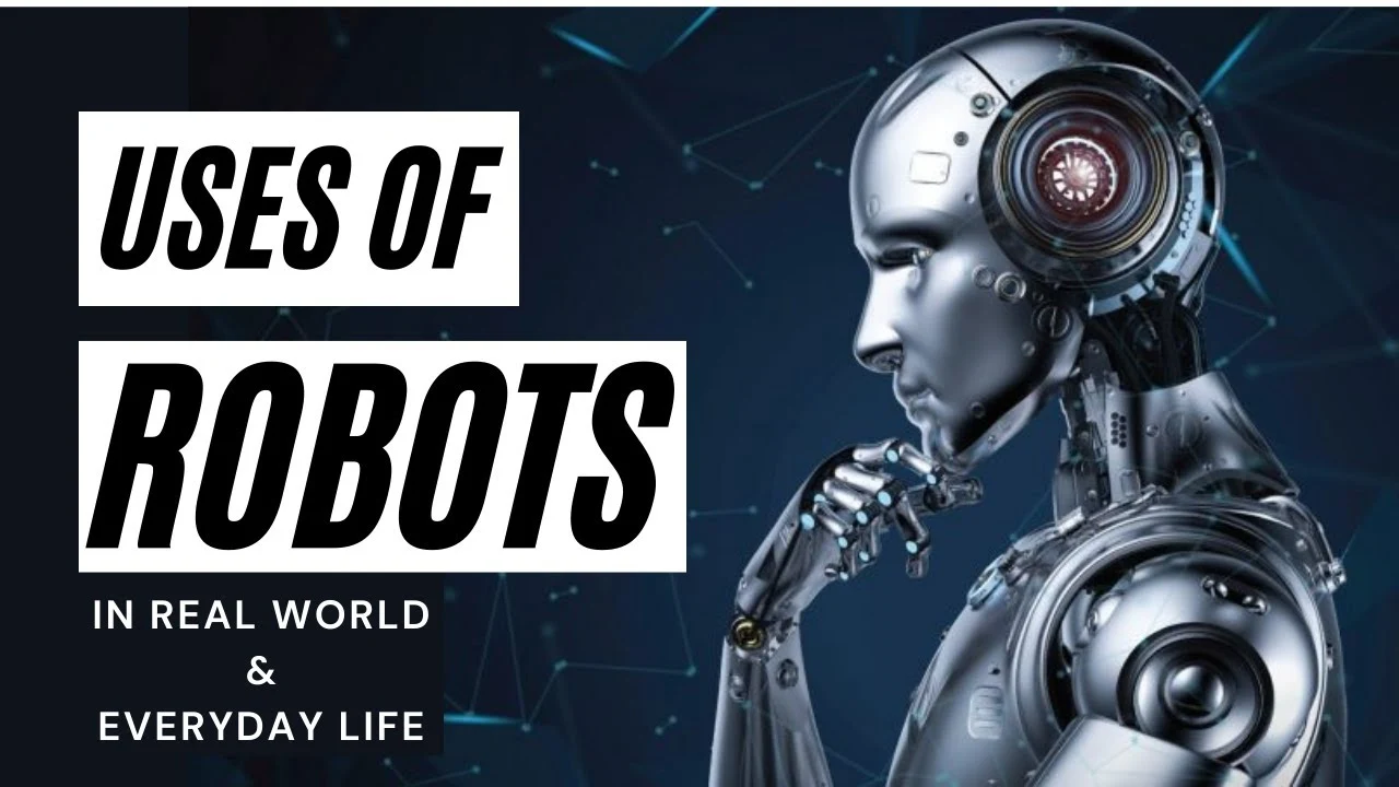 Robotics in Daily Life